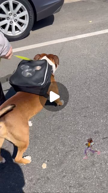 Instagram reel