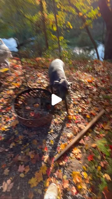 Instagram reel